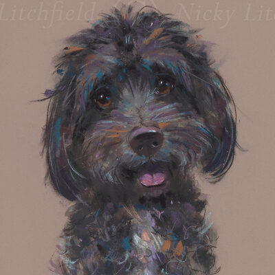 Nicky Litchfield