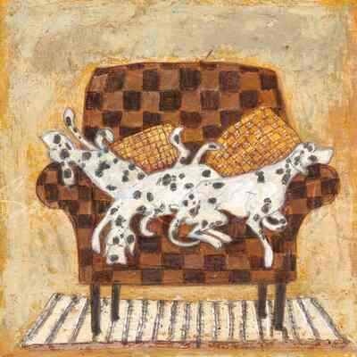 Sam Toft