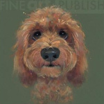 Nicky Litchfield