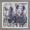 print of pigs by Debbie Boon