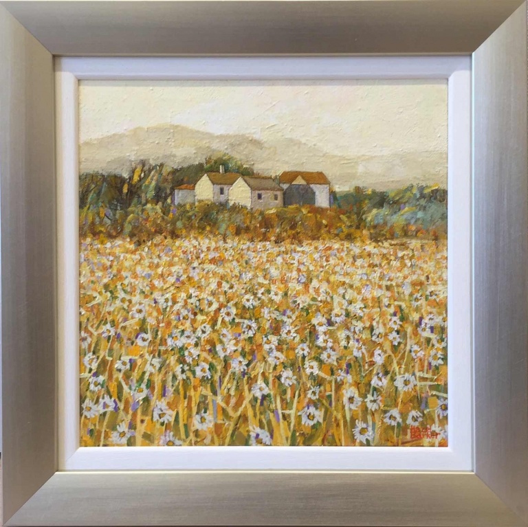 Golden Evening, Provence by Hazel Barker