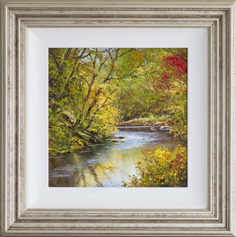 Autumnal Brook