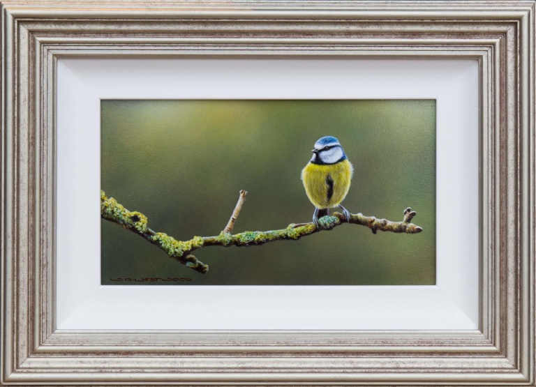 Bluetit’s Rest by Wayne Westwood