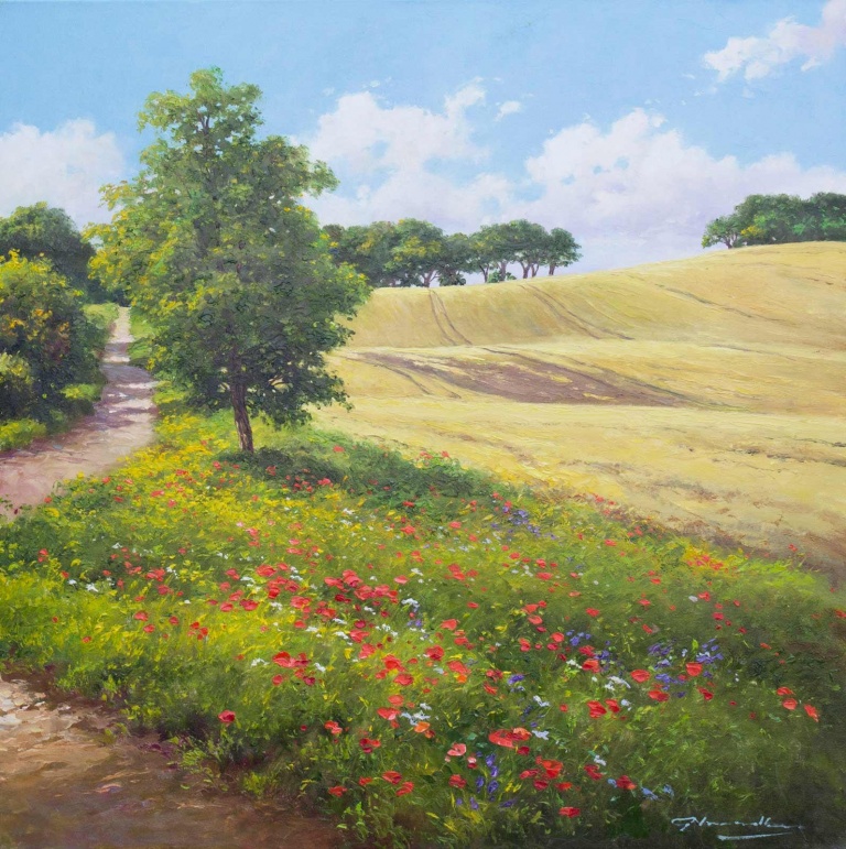 Countryside Walk