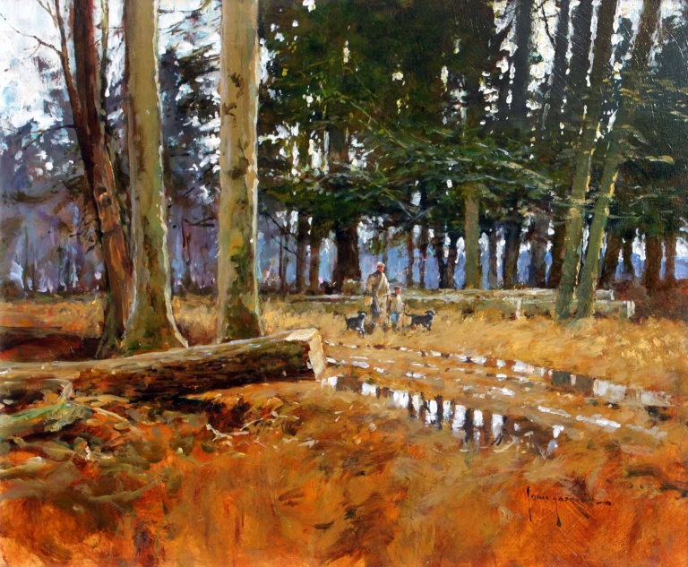 Autumn Walk in the Forest by John Haskins