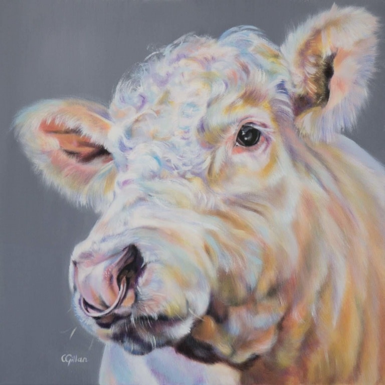Inquisitive by Carol Gillan