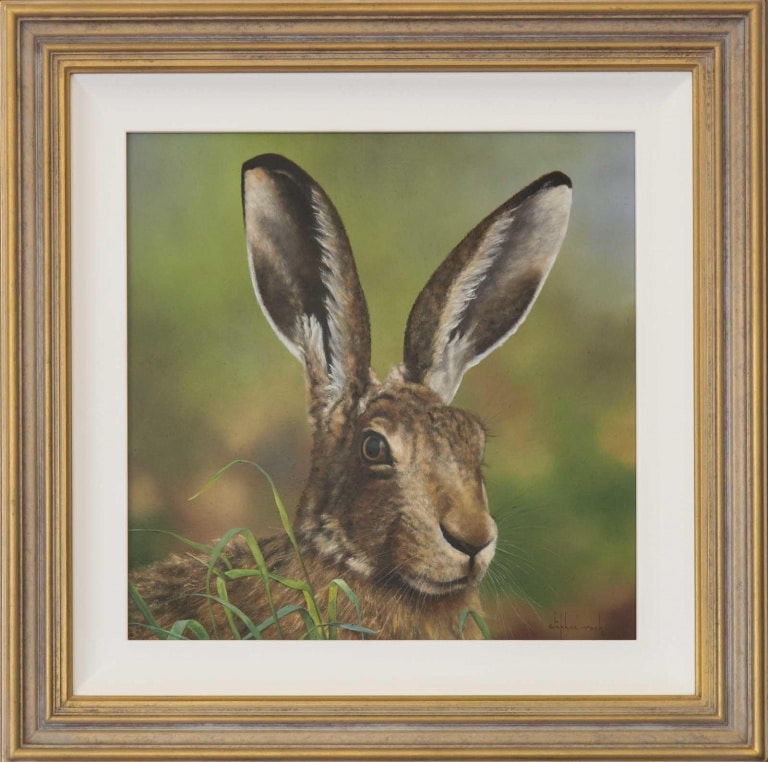 Alert Hare by Stephen Park