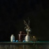 Four Pots And Eggs by Bryan Hanlon, limited edition print