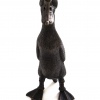 Resin and bronze sculpture featuring an Indian Runer Duck by talented British artist and sculptor Suzie Marsh
