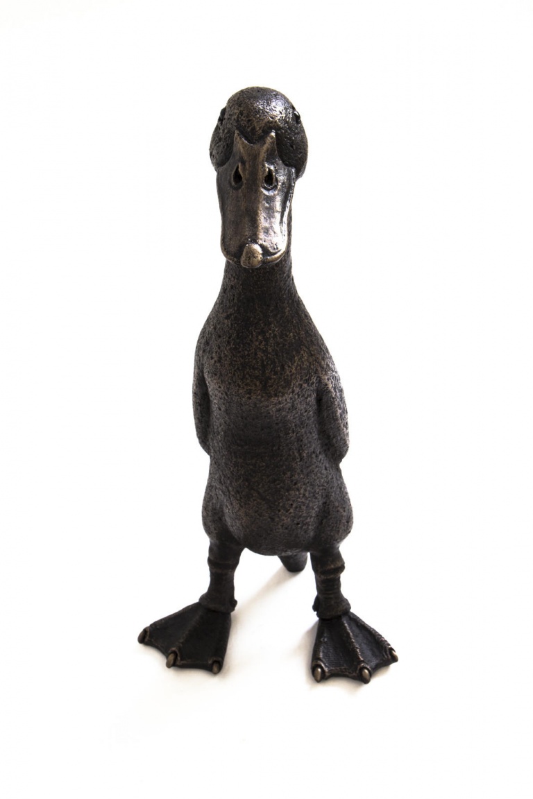 Eric, The Indian Runner Duck