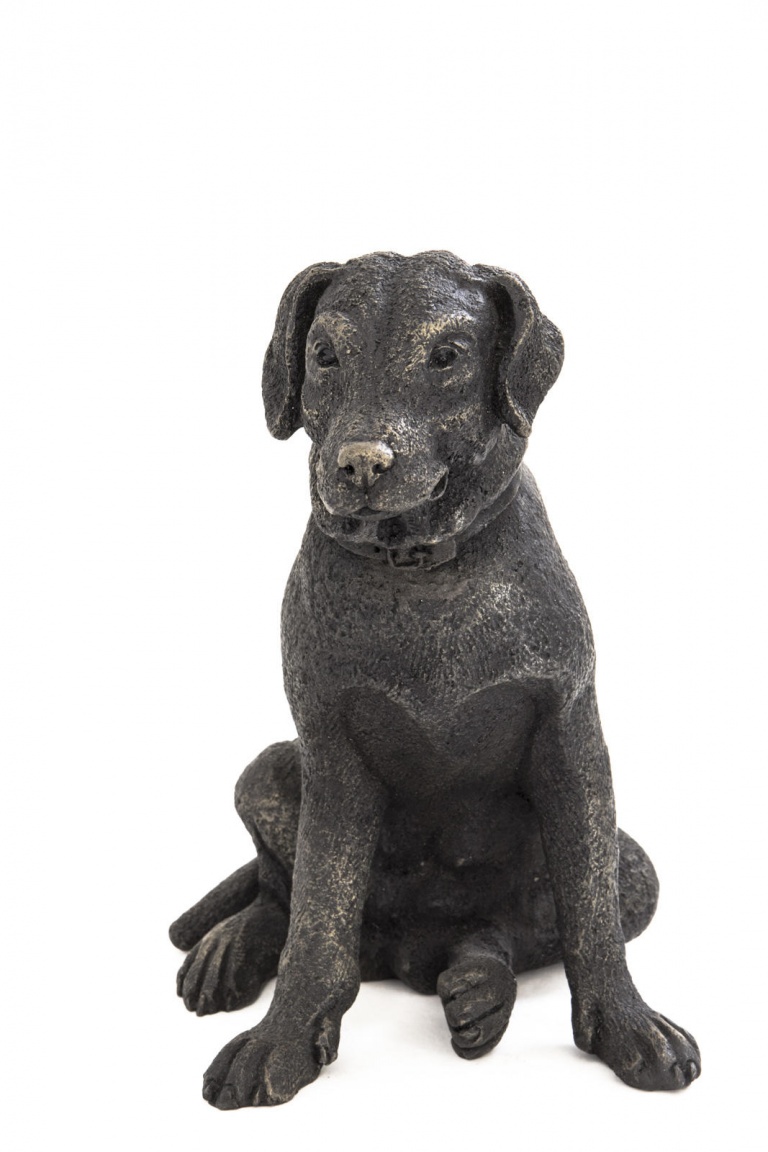 Little Nell, Small Labrador Sitting