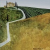Tuscany Path IV by Michael Morgan, limited edition print