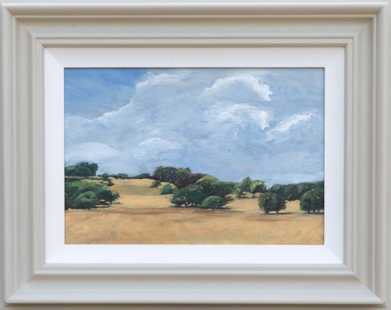 Vistas of Petworth by Matthew Cordwell