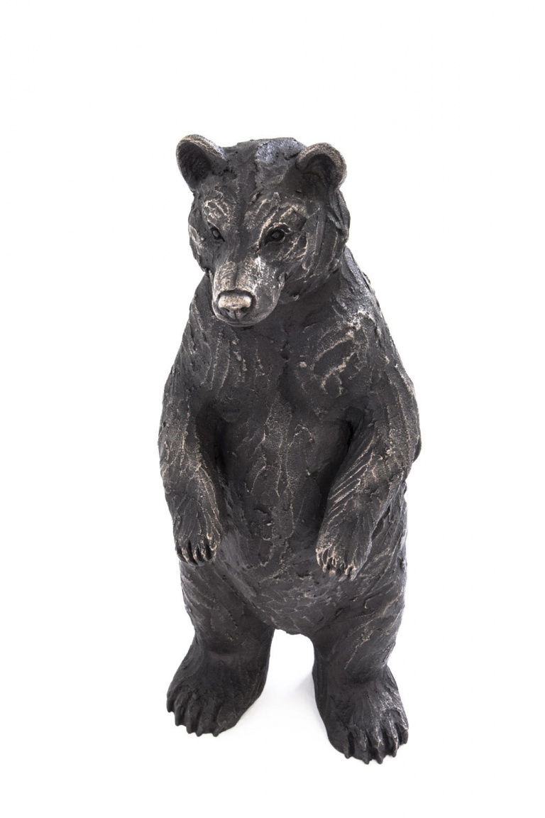 Henry, Bear Cub Standing