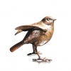 Bronze sculpture of a robin standing