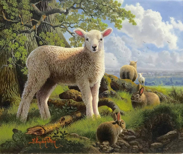Spring Lamb and Friends by Daniel Van der Putten