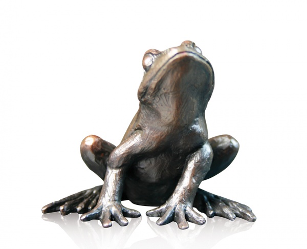 small bronze frog looking up alert