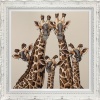 High Five by Amy Louise, limited edition print