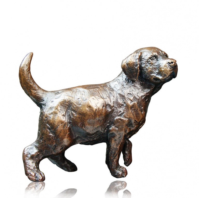 Labrador Puppy Standing by Michael Simpson