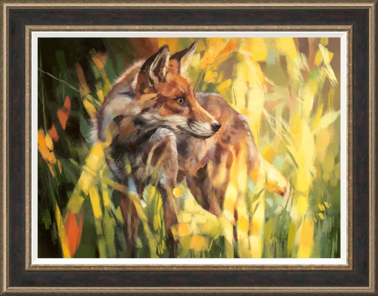 Fox in Dappled Sunlight