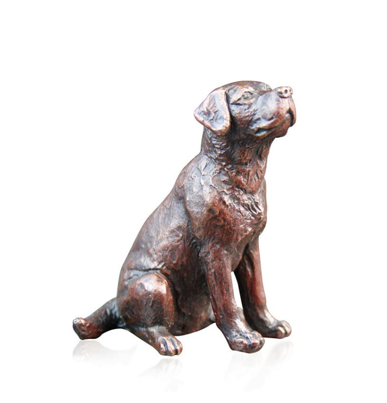 Small Labrador Sitting