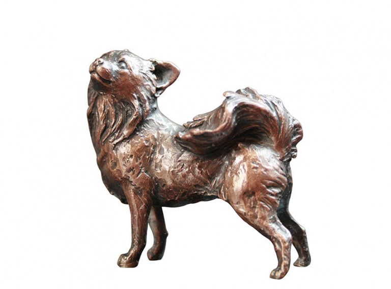 Small Chihuahua by Michael Simpson