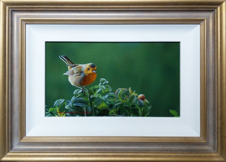 Robin on Branch Commission by Wayne Westwood