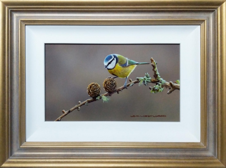 Blue Tit Commission by Wayne Westwood