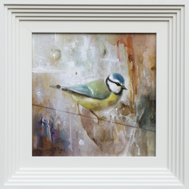 Blue Tit