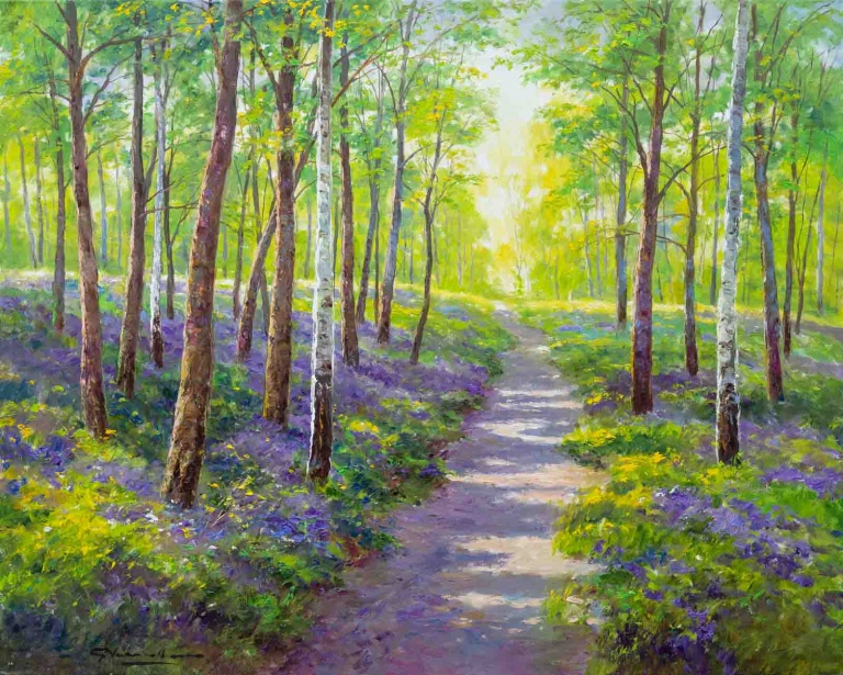 Bluebell Woods