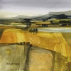 Field Patterns by Michael Morgan, limited edition print