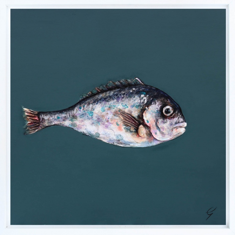 One Grey Sea Bream by Giles Ward