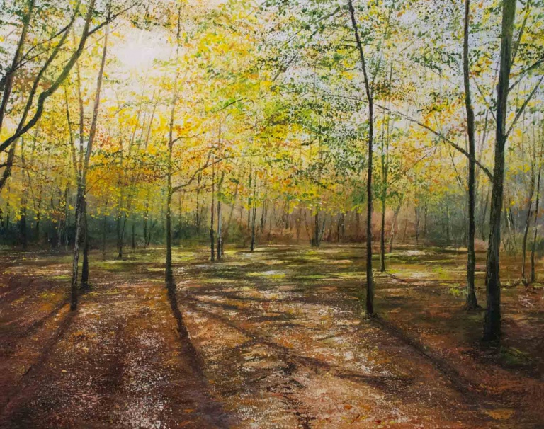 Autumn Light Pools by Grace Ellen