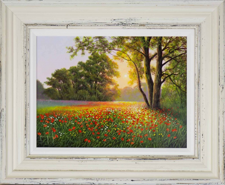 Poppies Under the Evening Sun by Terence Grundy