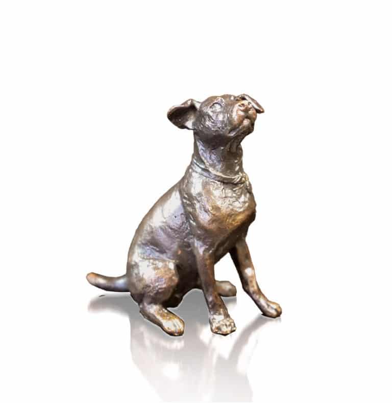 Jack Russell Sitting (1121)