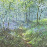David Dipnall