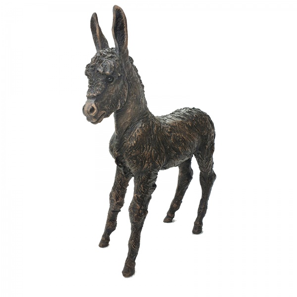 hand finished bronze sculpture of a donkey foal by artist Suzie Marsh