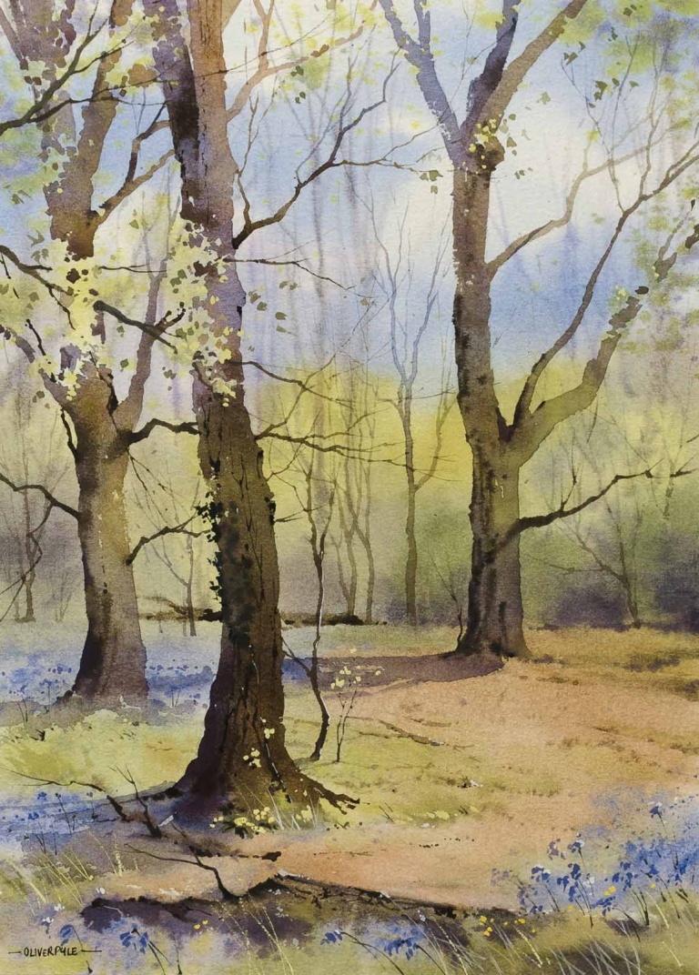 Bluebell Season, Sussex by Oliver Pyle