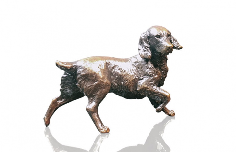 Springer Spaniel (1151)