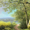 Country Lane to Lower Shuckborough by Daniel Van der Putten, original painting