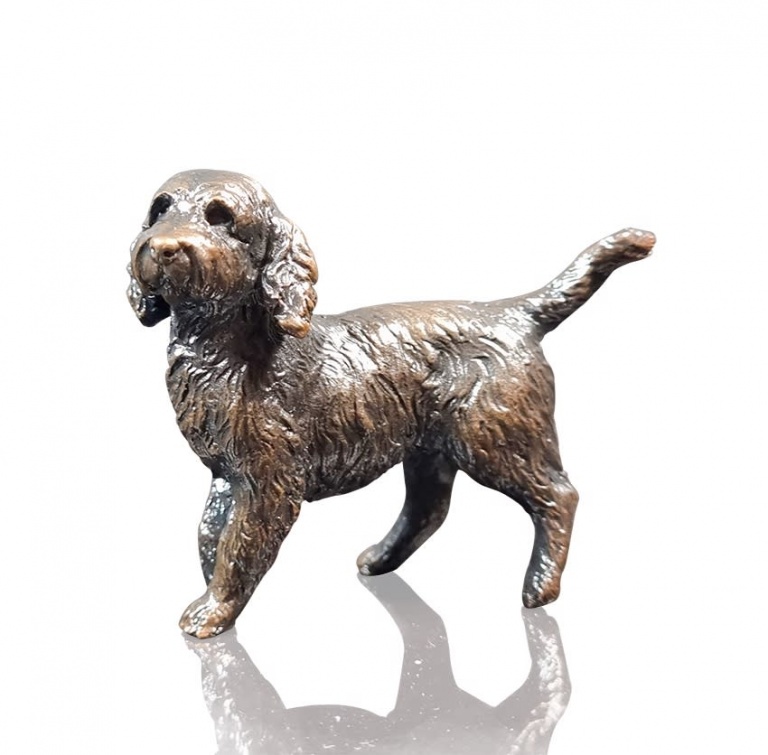 Small Cockapoo Dog Standing (1152) by Michael Simpson