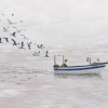 The Gulls by Chris Ross Williamson, limited edition print, detail