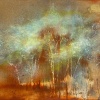 Kodama (Edition) by Hiroko Lewis, limited edition print