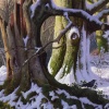 Roe Deer in Beech Wood by Daniel Van der Putten, original painting