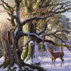 Roe Deer in Beech Wood by Daniel Van der Putten, original painting
