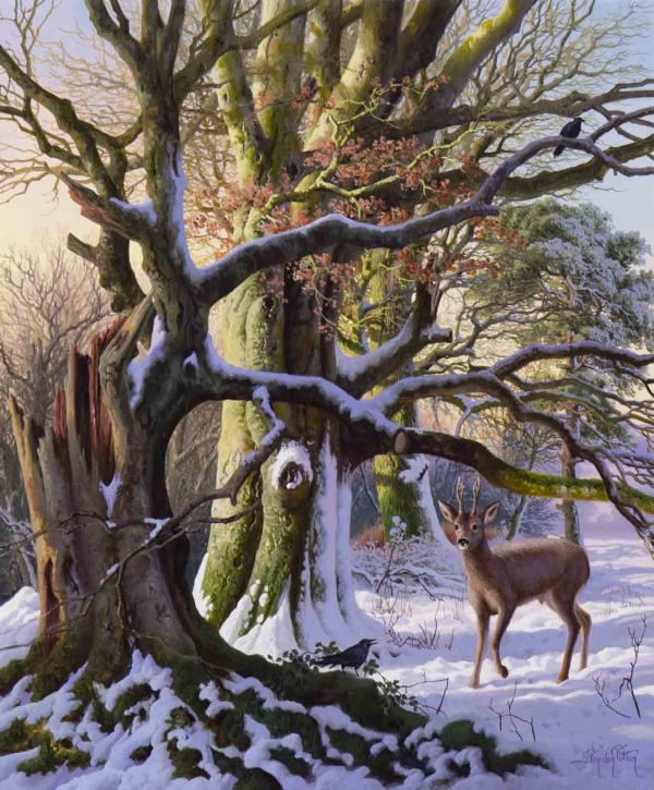 Roe Deer in Beech Wood by Daniel Van der Putten, original painting