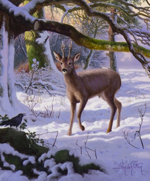 Roe Deer in Beech Wood by Daniel Van der Putten, original painting