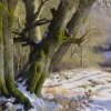 Winter Afternoon Light by Daniel Van der Putten, original painting