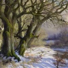 Winter Afternoon Light by Daniel Van der Putten, original painting