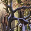Roe Deer in Beech Wood by Daniel Van der Putten, original painting